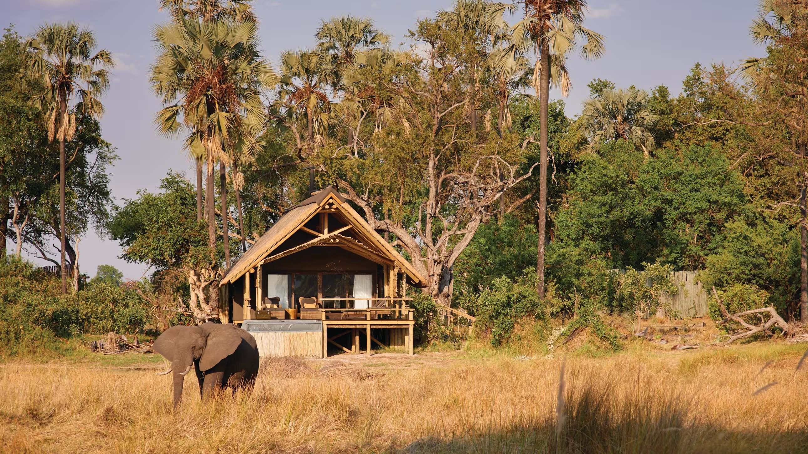 Eagle Island Lodge on a Luxury Botswana Safari